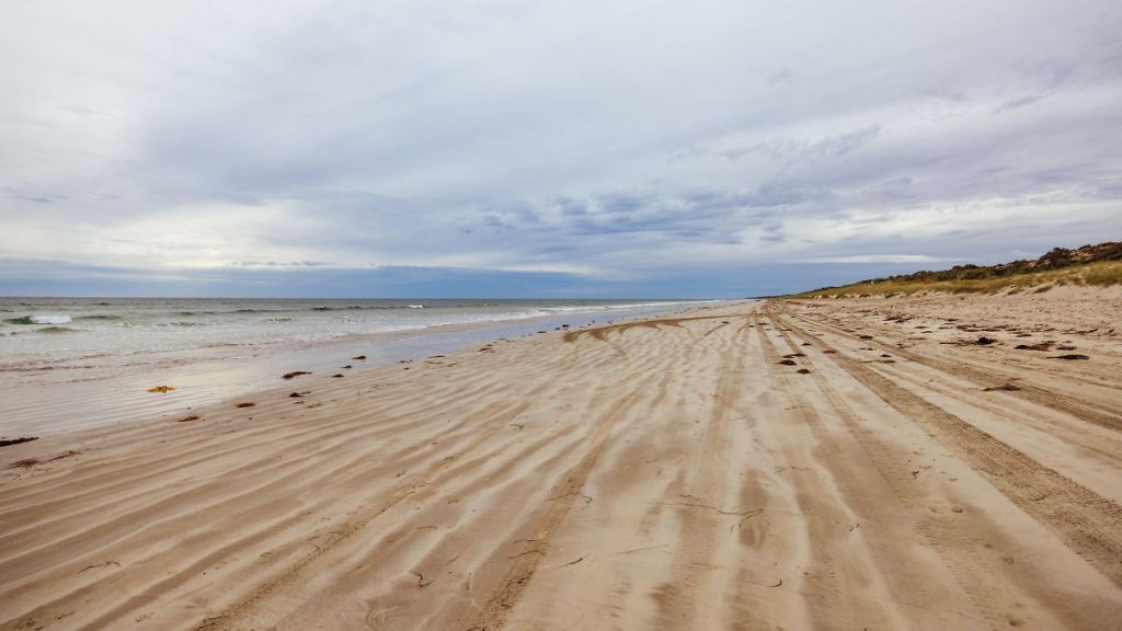 Australien: Surfer verschwindet nach Hai-Attacke