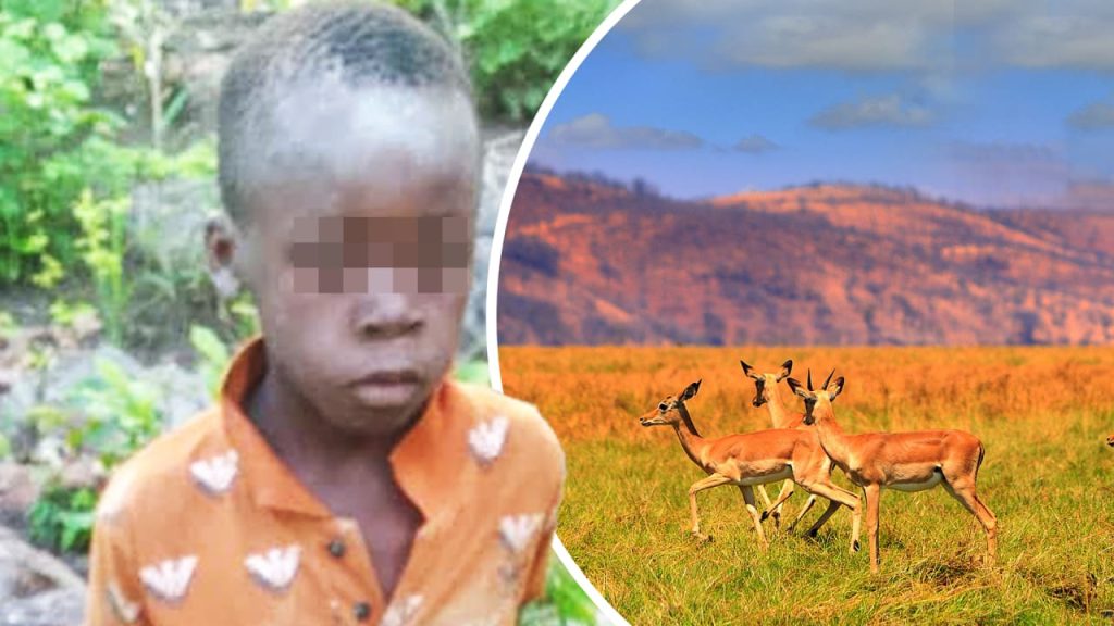 Simbabwe: Kind (8) überlebt 5 Tage in der Wildnis von Afrika | News