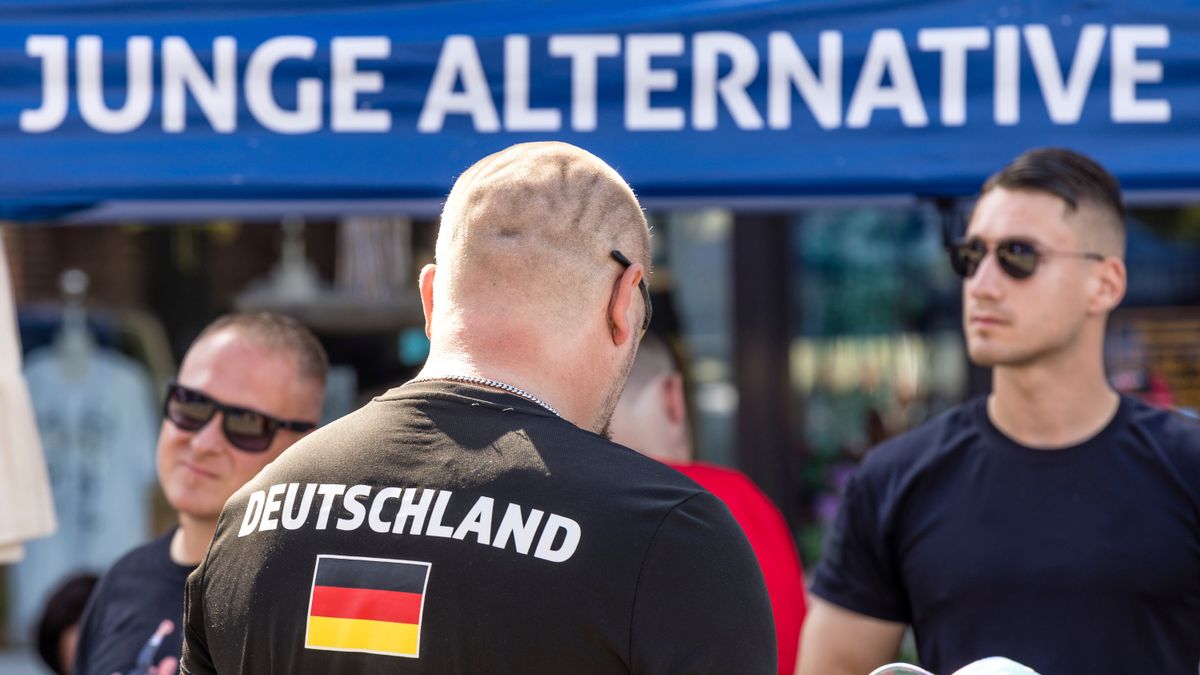 AfD und Homosexualität: »Einige Schwule fühlen sich angezogen von männlicher Identitätspolitik«