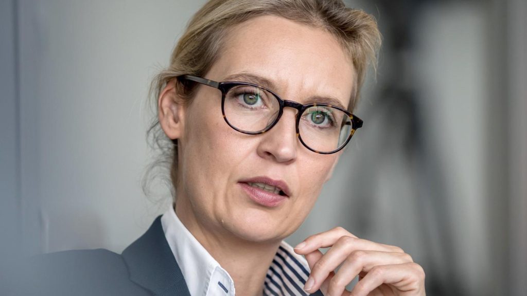 Austausch von Schlägen zu Holocaust -Aussagen von Weidel in der Nähe von Miosga