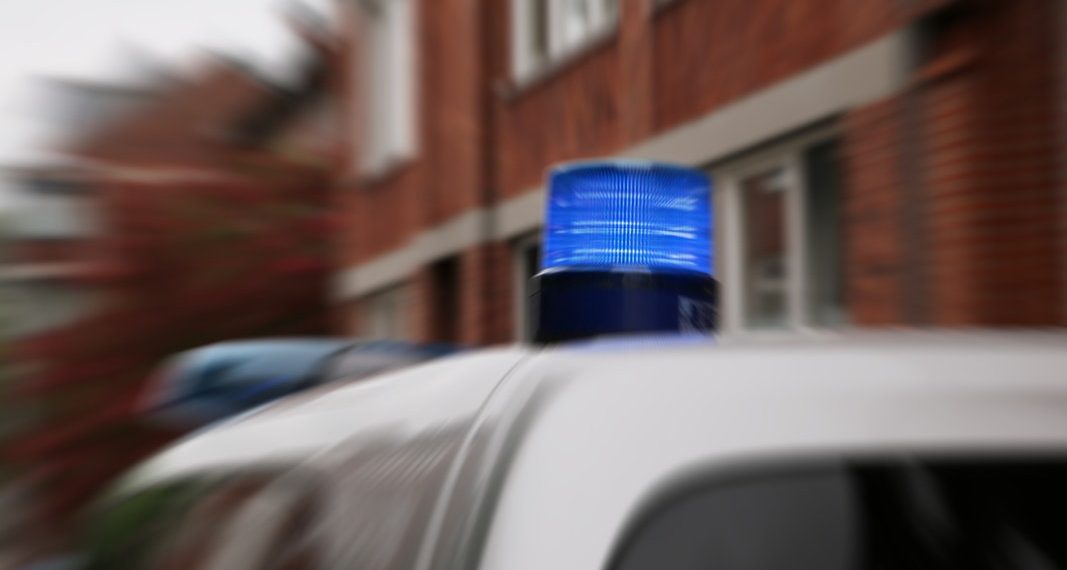 Leiche bei Treibjagd in Bissendorf gefunden | NDR.de – Nachrichten – Niedersachsen