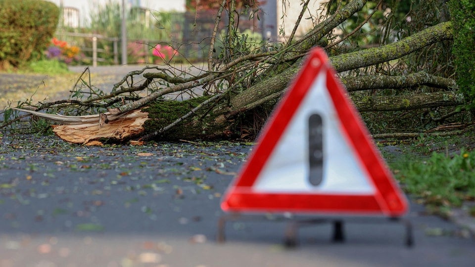 Extreme Orkanböen erwartet: Unwetterwarnung für den Harz