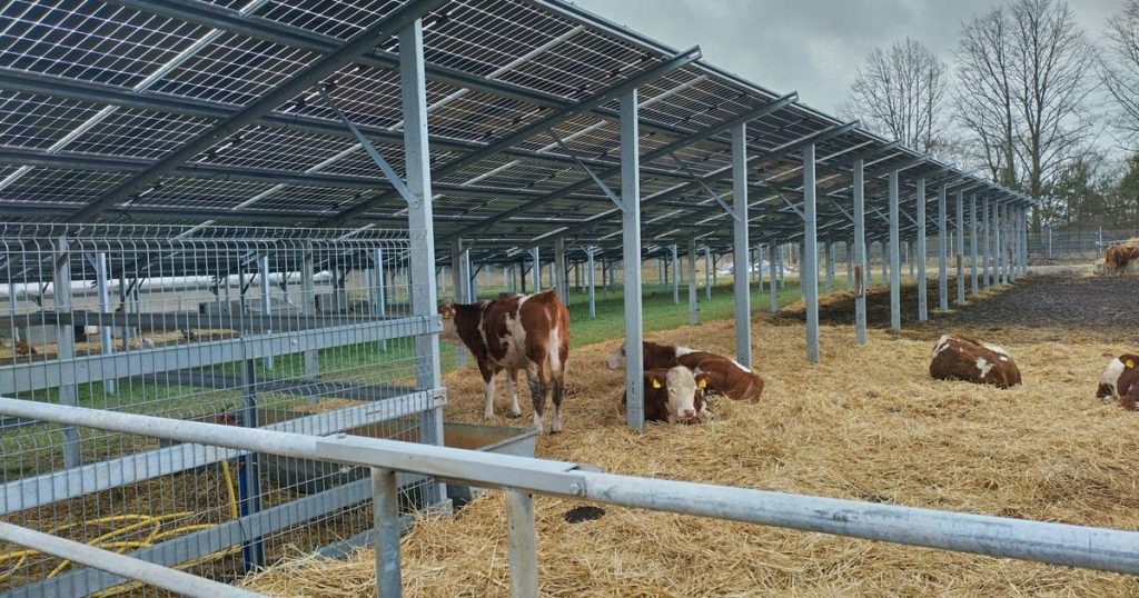 Landwirt im Hochwald plant Solarpark mit Viehhaltung