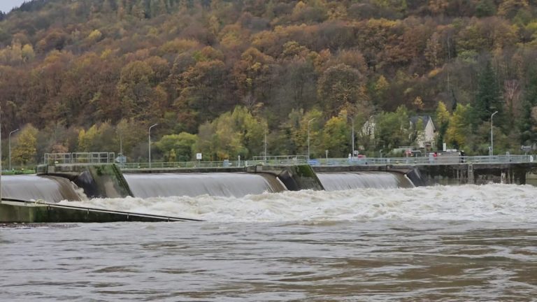 Marco Bombarding kann finden: tot in Enkirch