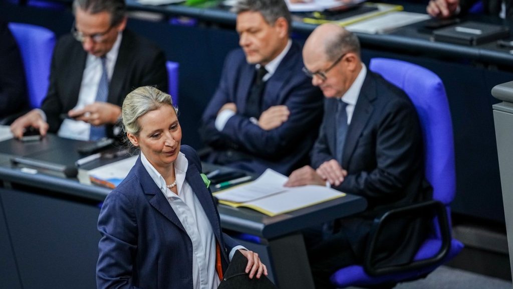 Alice Weidel und AFD werden bestraft