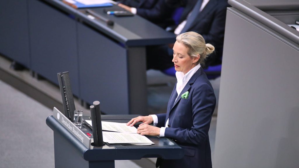 AFD: Neue Riesenspende! Berliner erbte AFD fast 6 Millionen Euro | Politik