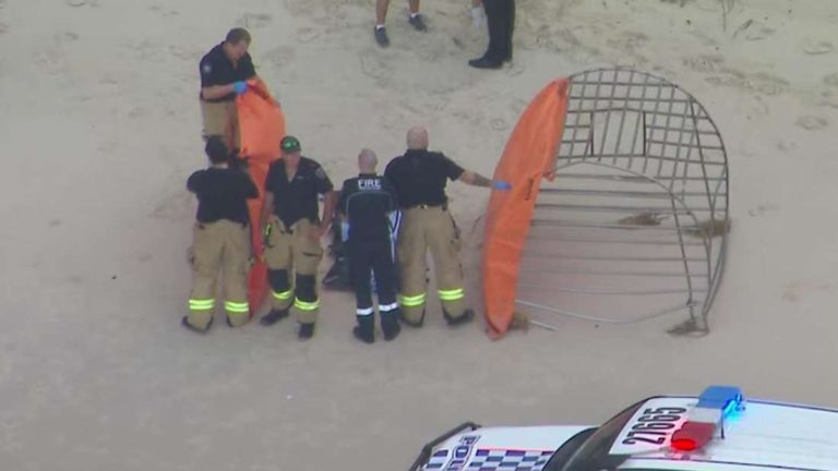 Australien: Hai Horror vor dem Traumstand von Bribie Island