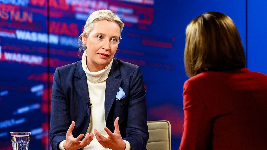 Der Tag: Weidel zielt auf Komitees ab