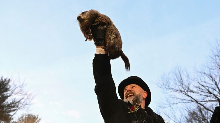 Tiertradition in den USA: Mörder Phil Wei Weiß: Es wird ein langer Winter sein