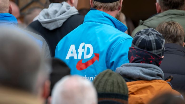 Reine Vermögenswerte nehmen immens zu: AFD erbte Millionen von Spendern aus Berlin