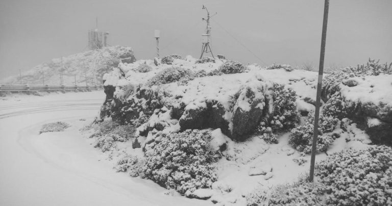 Fauterkundler berichtet von dem höchsten Berg der Insel live vom höchsten Berg