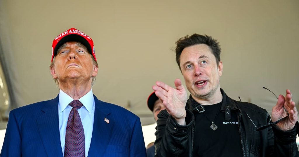 Musk hat Zugang zum Zahlungssystem der US-Regierung eingereicht