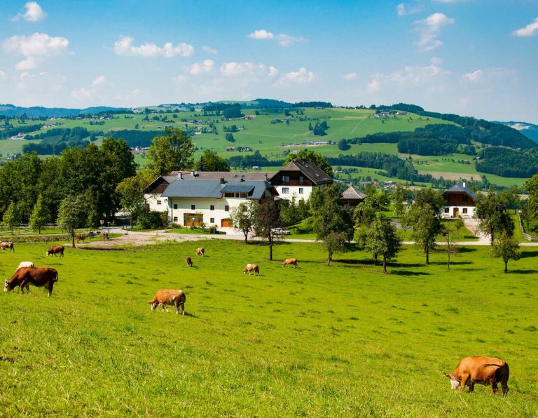 Landwirt verlässt Millionen von Vermögenswerten – Erben sehen keinen Cent – AgrarHute.com