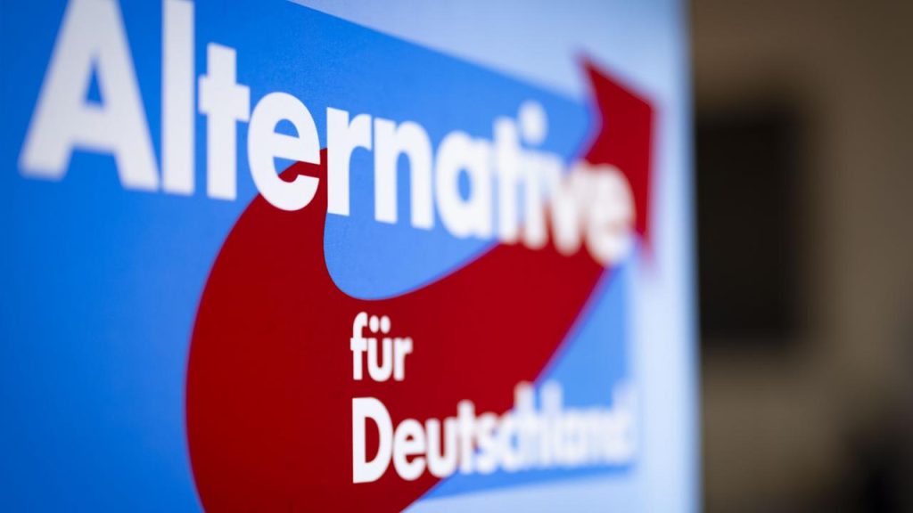 Große Spende: AFD sollte eine Posterkampagne in Millionenhöhe erhalten