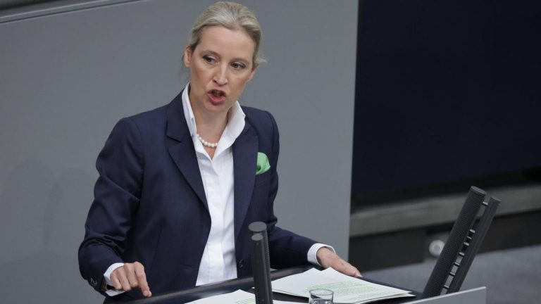 Hitlerbart auf AFD Flyer? CDU -Politiker beginnt mit Weidel