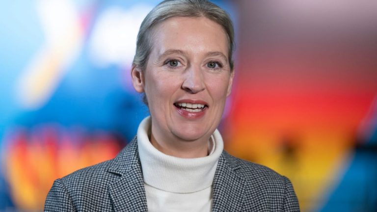 Weidel macht Merz zu einem Angebot