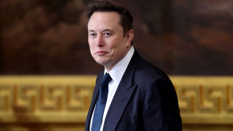 Elon Musk: Richter bestreitet den Zugang des Musk -Teams auf Finanzdaten