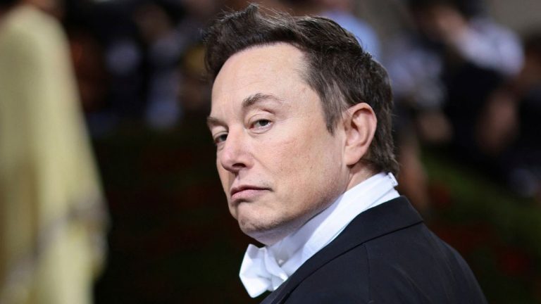 Elon Musk soll Zugang zum US -Finanzministerium haben