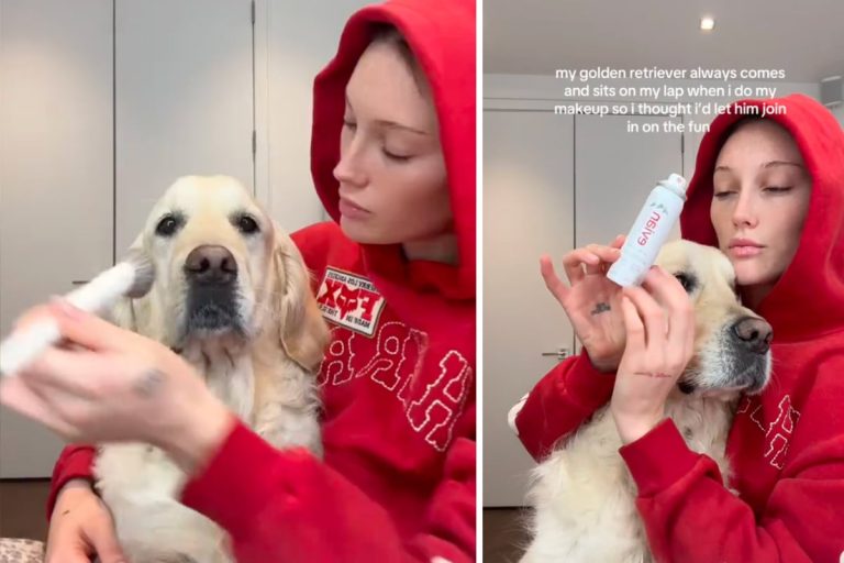 Golden Retriever sieht sich den Besitzer von Make -up an