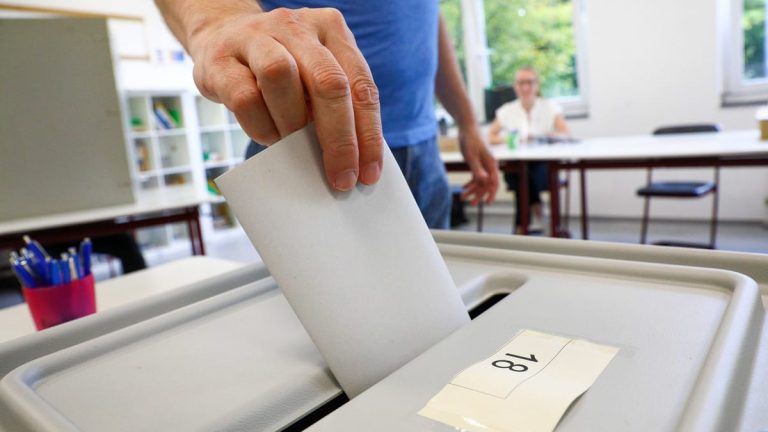 Bundestag -Wahl: Linkspartei und Greens, die bei jungen Wählern beliebt sind