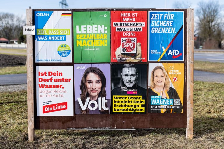 Nicht die erste Million Spende für AFD -Werbeplakate