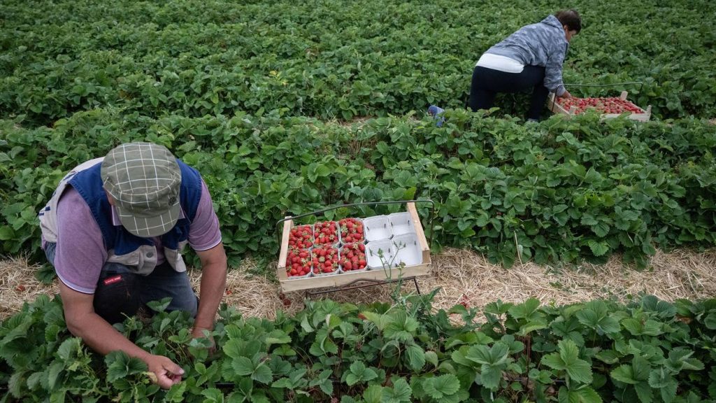 Arbeitsmarkt: Der Mindestlohn sollte in zwei Schritten auf 14,60 Euro zunehmen Arbeitsmarkt: Der Mindestlohn sollte in zwei Schritten auf 14,60 Euro zunehmen