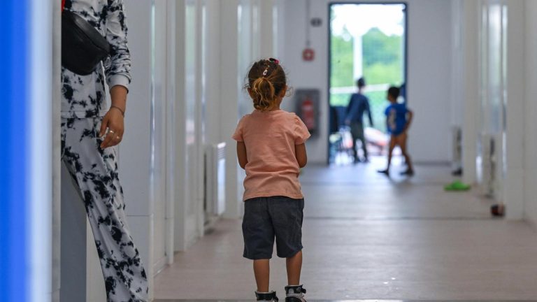 Migration: Pro Asylum will legal gegen die Suspendierung der Familienreunifikation sein