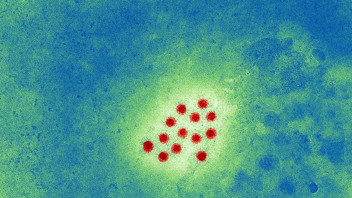 Zahlen steigen – drei Tote in Österreich