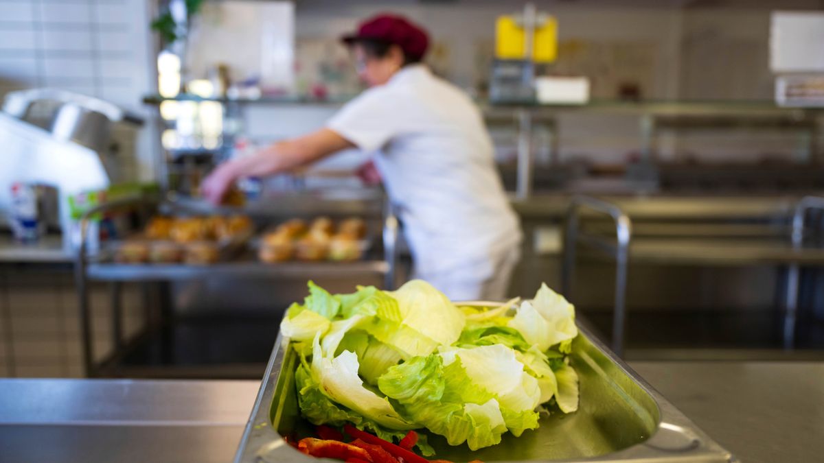 Vegetarische Schulmahlzeit: Eltern in Baden-Württemberg scheitern mit einer Klage