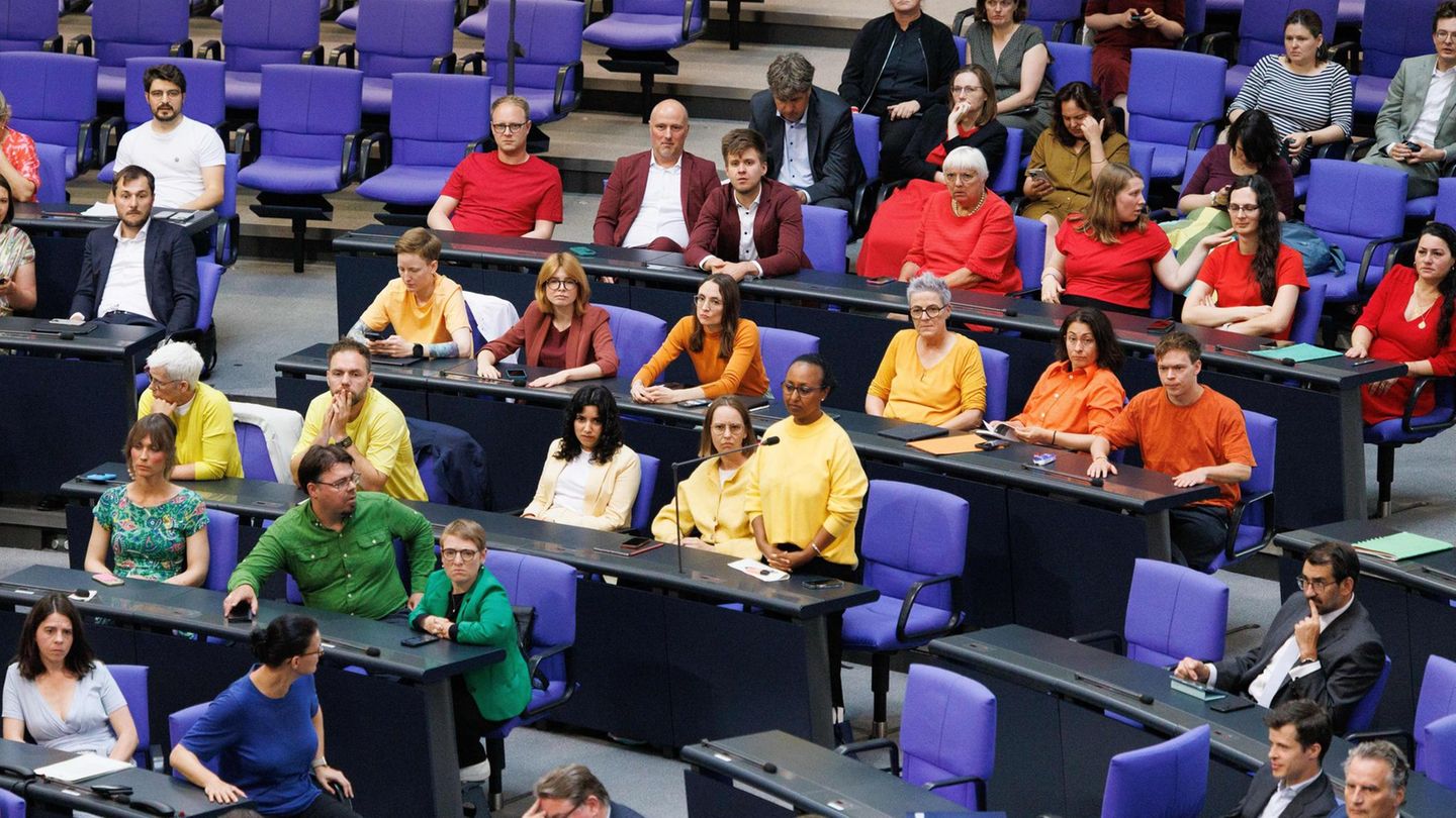 Bundestag: Grüne und ließ einen farbenfrohen Protest gegen Julia Klöckner
