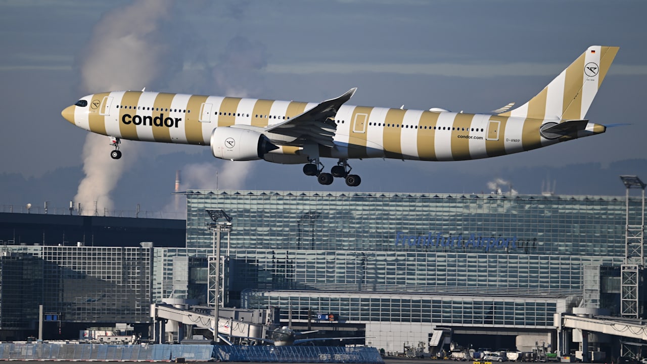 CONDOR: Amerikaner sind begeistert von unserem Ferienpiloten | Leben & Wissen