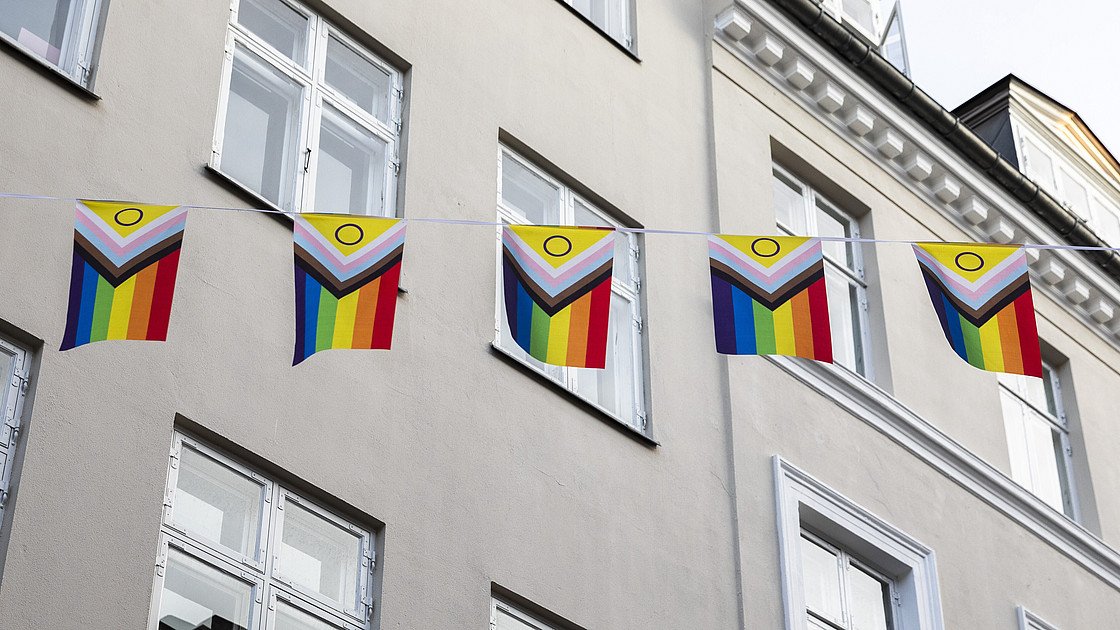 VG: „Progress-Pride“ -Flag ist keine Indoktrination
