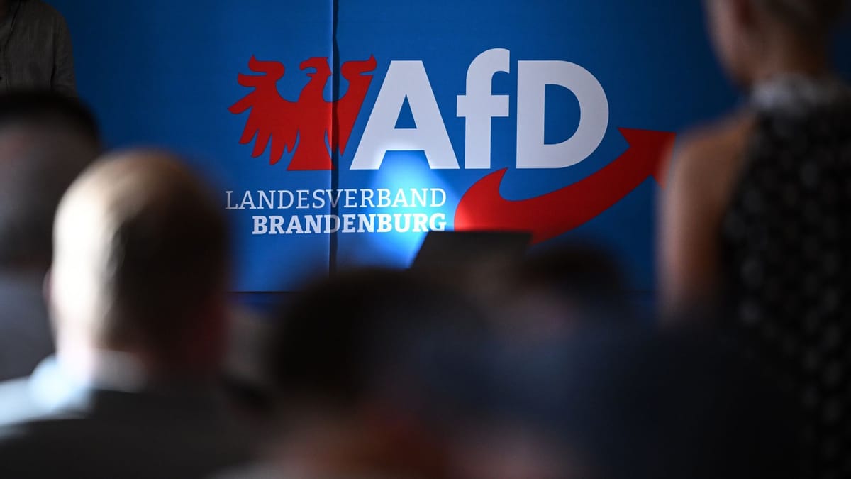 AFD in Brandenburg auf Rekordhöhe: SPD und BSW verlieren