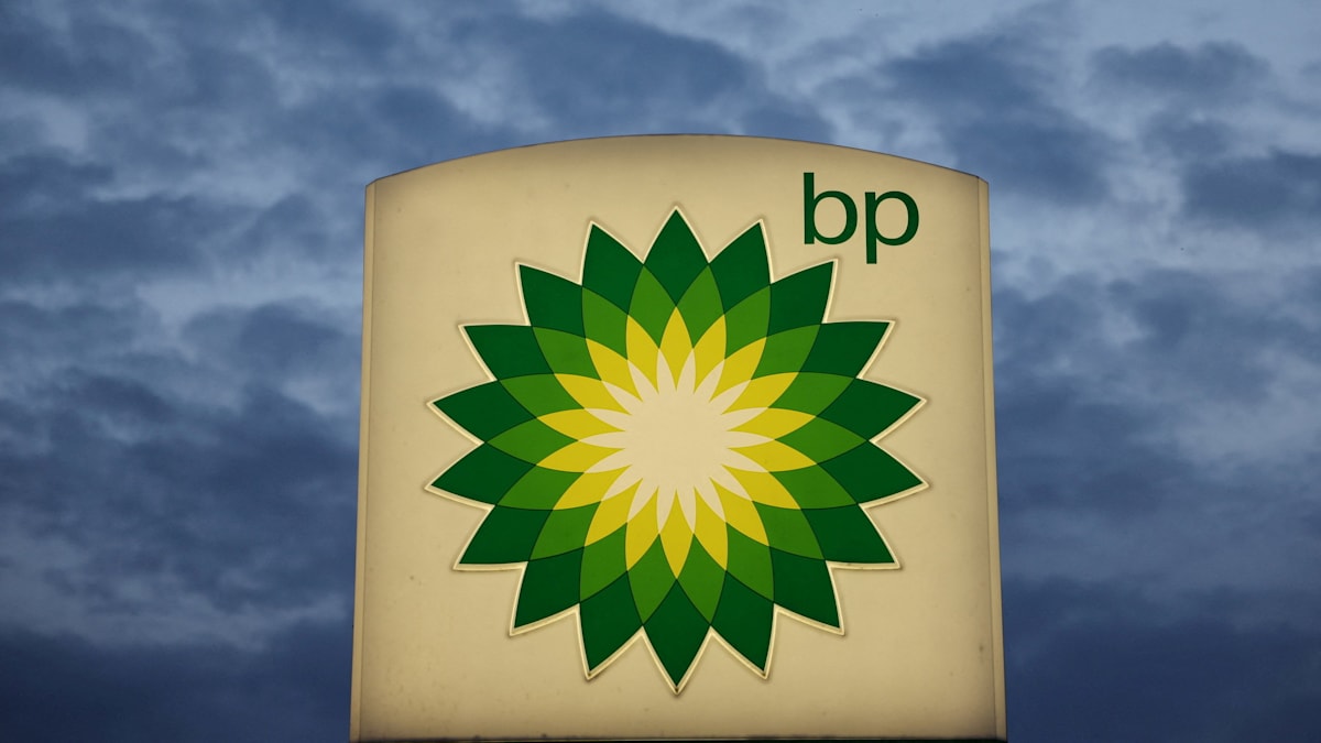 Übernahmebereiche: Die großen Öko-Träume kosten nun die Unabhängigkeit