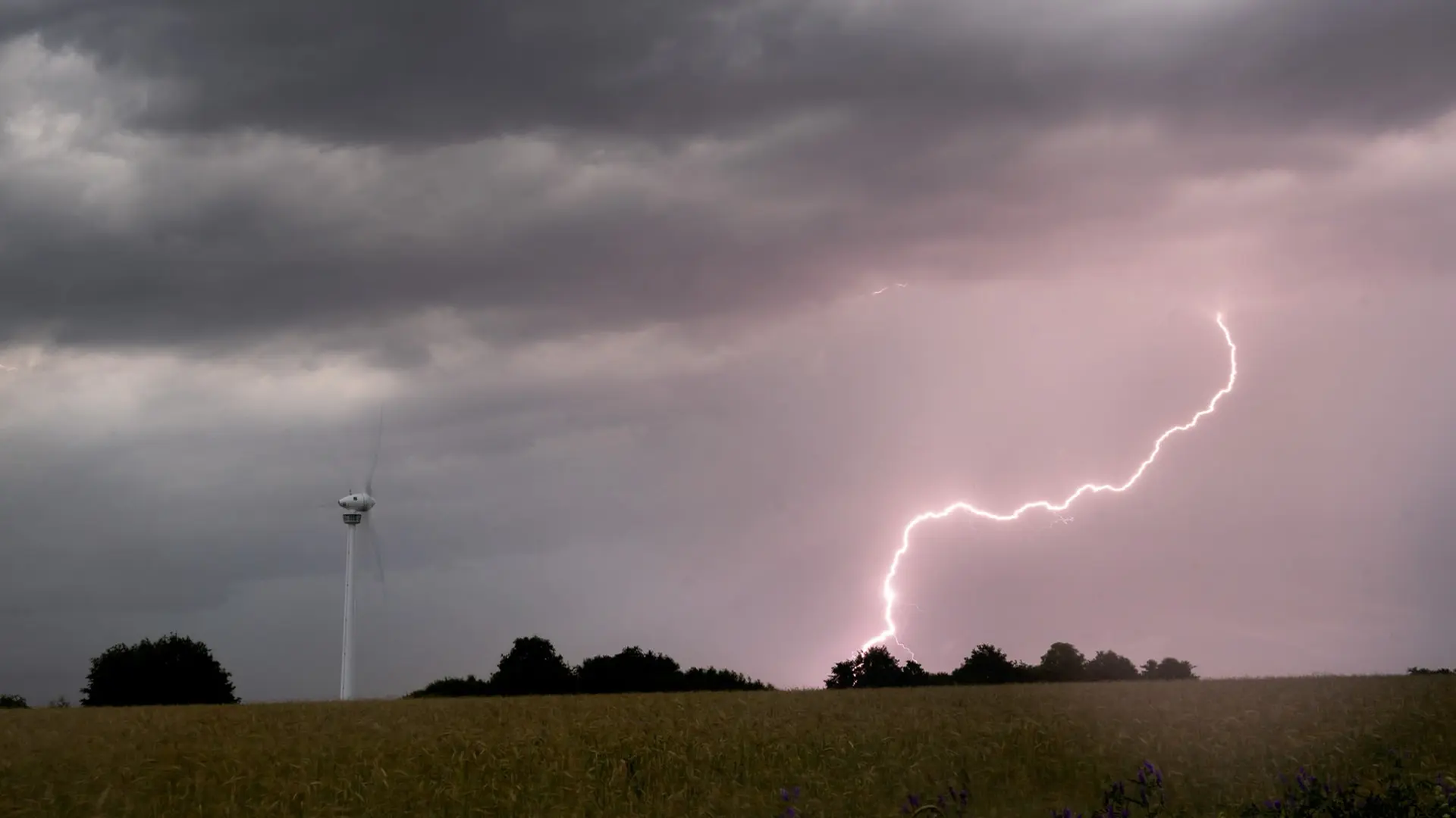 Unwetter im Norden: starker Regen, Windböen und Gewitter erwartet