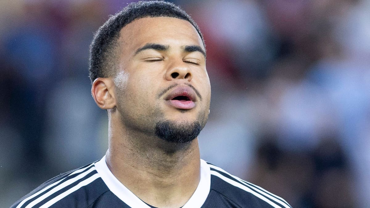 Die Katze im deutschen Tor