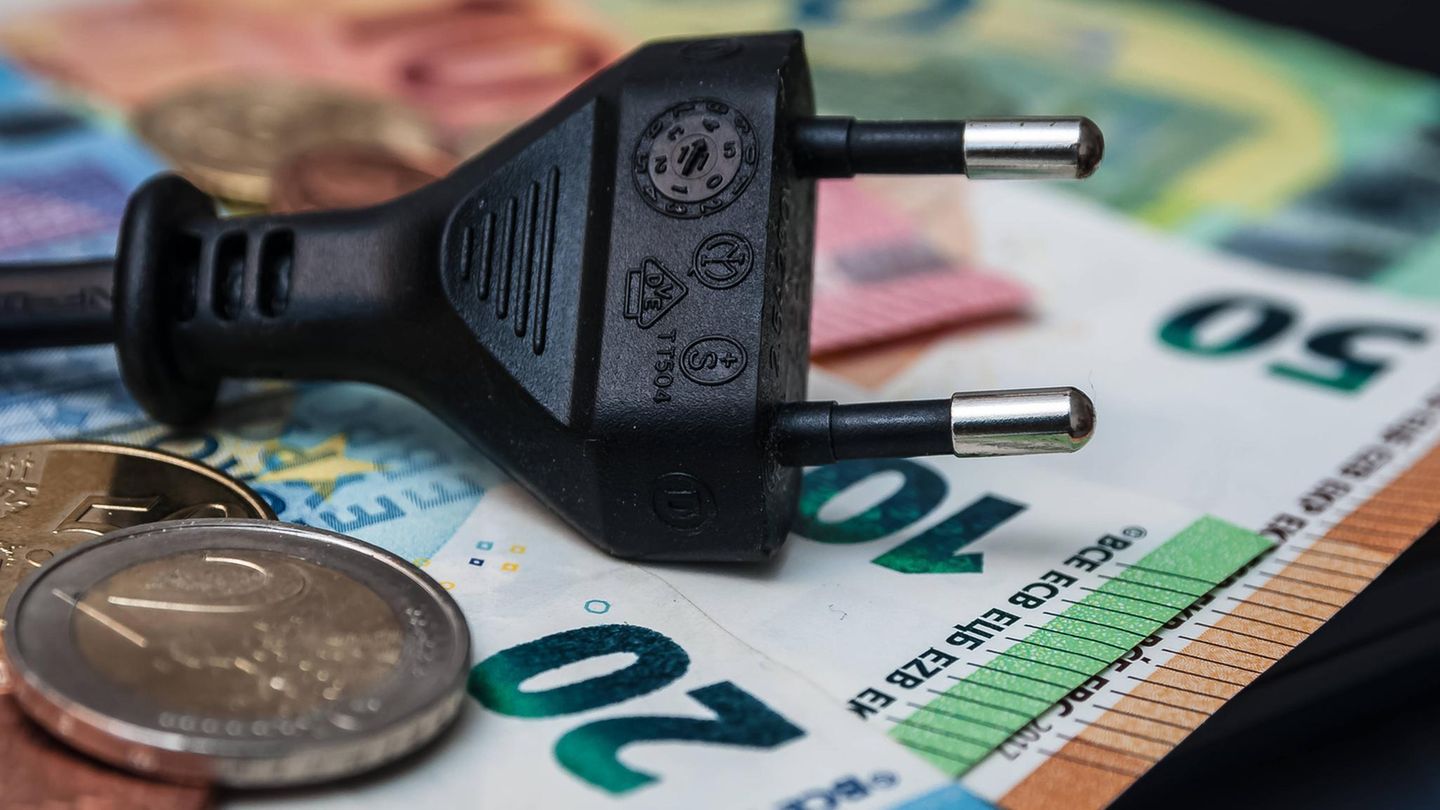 Gewerkschaft für Stromerreduzierung: Geld für Wärmepumpen löschen