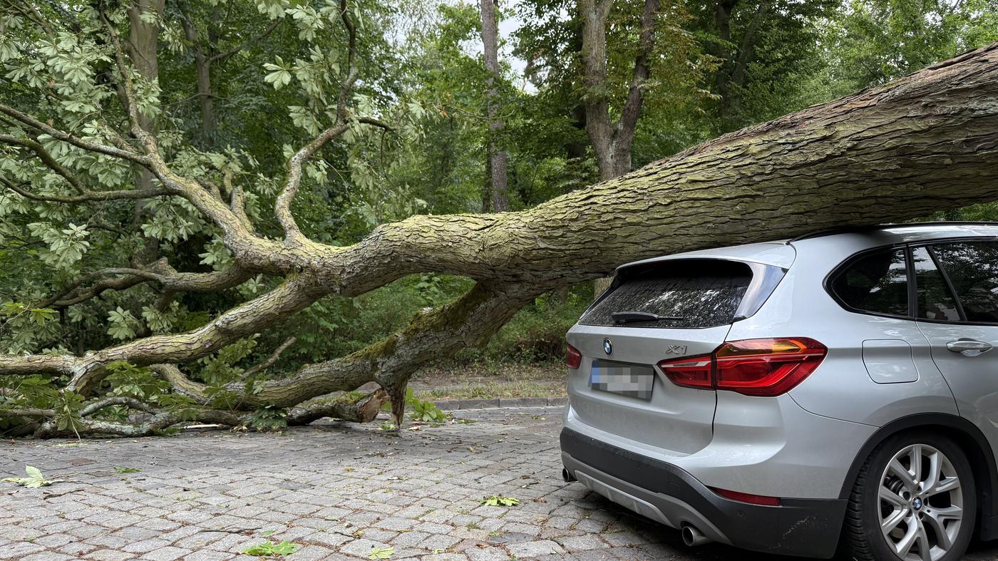 Der nächste Sturm rollt in Berlin