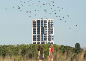 Wohnungskrise in Großstädten: Laut einer Ifo-Studie sind hohe Neumieten schlecht für das Wirtschaftswachstum – Spiegel