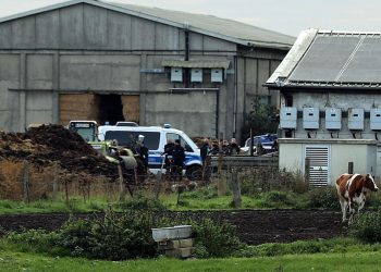 Deshalb hat der Täter die Leiche nicht begraben