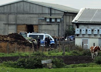 Deshalb hat der Täter die Leiche nicht begraben