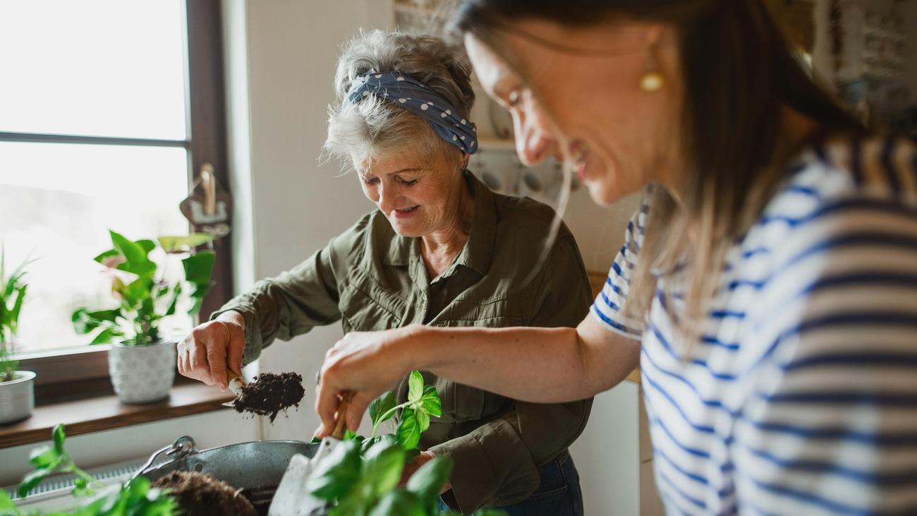 Rentensystem: Arbeitgeberpräsident fordert, dass die CSU auf die geplante Mütterrente verzichtet
