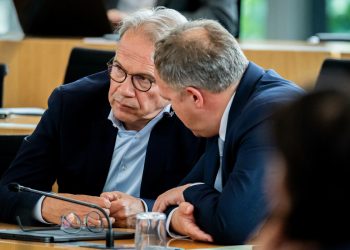 Spionagevorwürfe gegen die AfD: Ist das alles nur ein parlamentarisches Fragerecht?