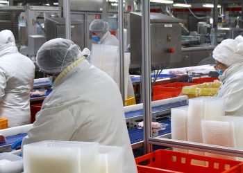 379 Mitarbeiter sind besorgt: Familienunternehmen aus Niedersachsen ist zahlungsunfähig