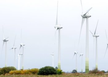 Entwicklung reicht nicht aus: Der Ausbau erneuerbarer Energien wird im Jahr 2024 Rekordwerte erreichen