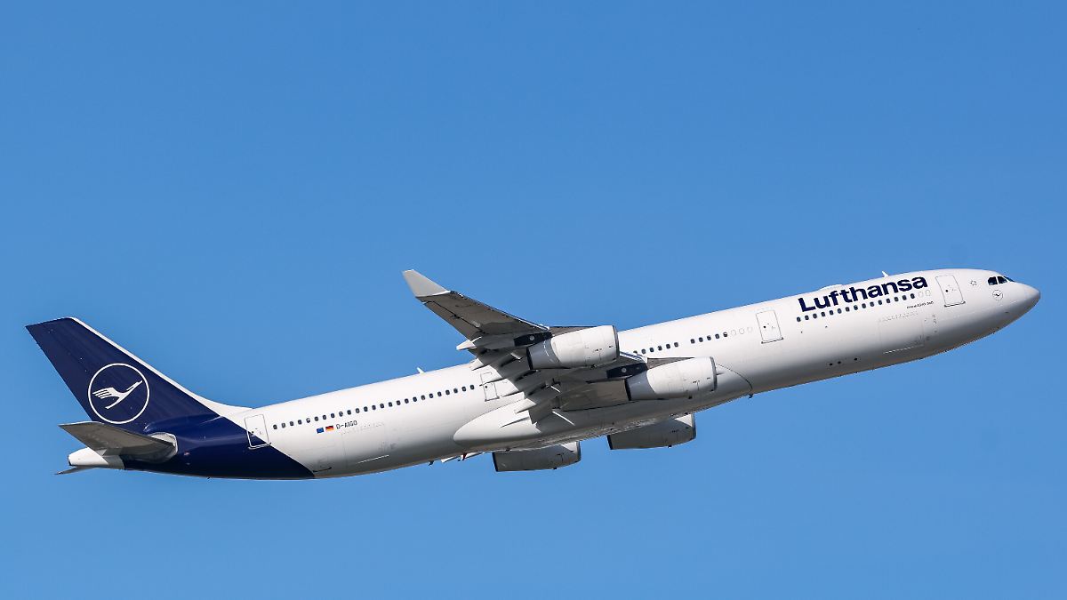 US-Geschäft belastet Airline: Lufthansa macht trotz Rekordumsatz weniger Gewinn