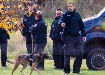 50 Hinweise nach Zeugenaufrufen: Im Fall Rebecca sichert die Polizei Spuren in Brandenburg