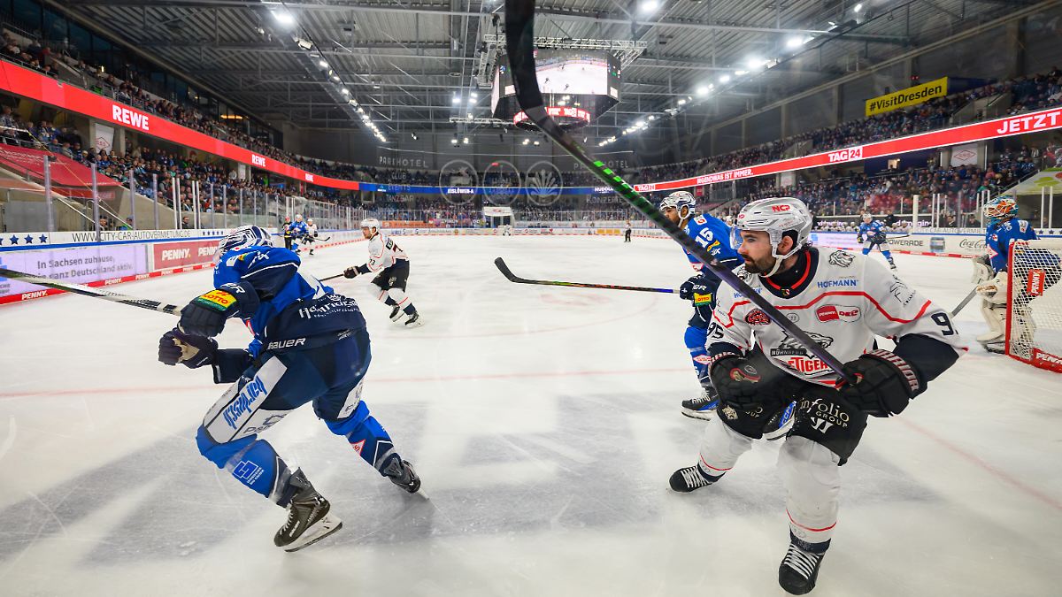Die Ice Lions heulen nur: Schwächstes DEL-Team aller Zeiten? Die Stimmung in Dresden wandelt sich
