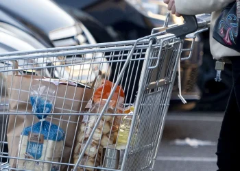 Rückruf von Globus – Lotuswaffel kann Plastik enthalten