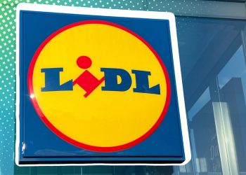 Lidl verkauft jetzt für 19,99 Euro ein Gerät, das ohne Heizung sofort aufwärmt